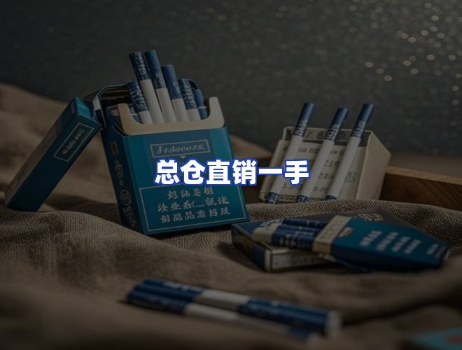 专业团队